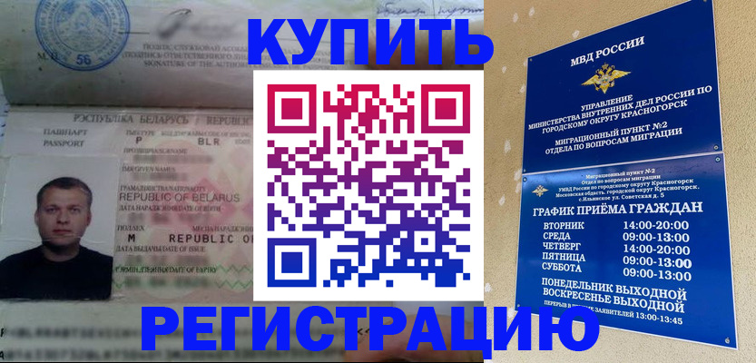 прописка законно в Вышнем Волочке